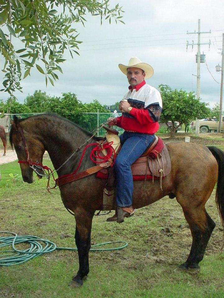 Caballo en Fibra de Vidrio