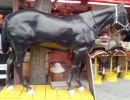 caballo negro